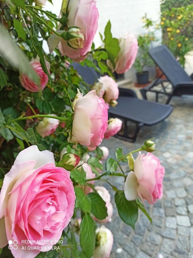 D'Or Duble' Bed And Breakfast Carignano  Εξωτερικό φωτογραφία